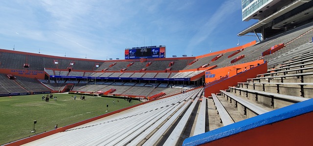 的重要组成 的重要组成