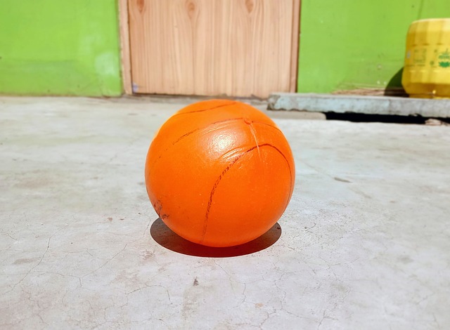 多龙头企业 多龙头企业