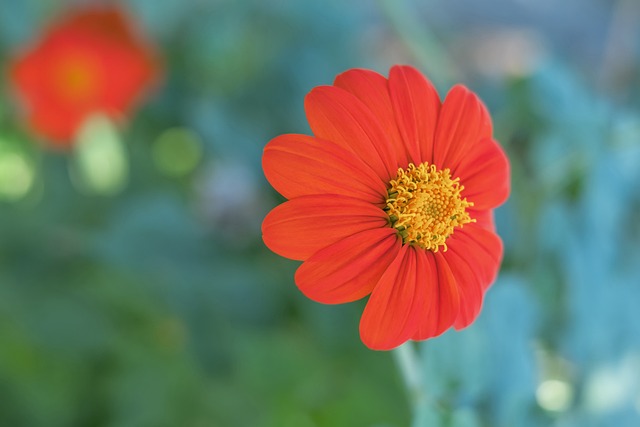 中国经济的 中国经济的