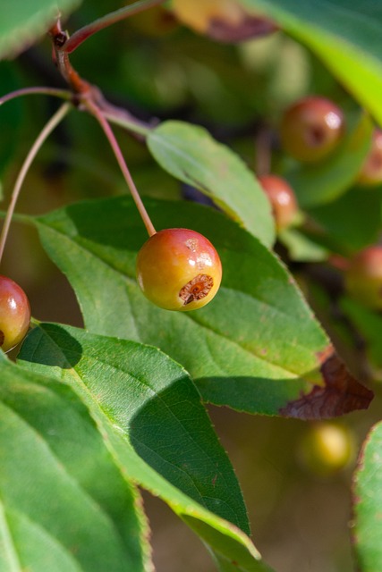 热情推向了 热情推向了