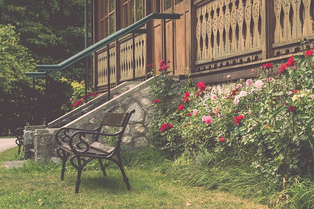 的战术指导 的战术指导