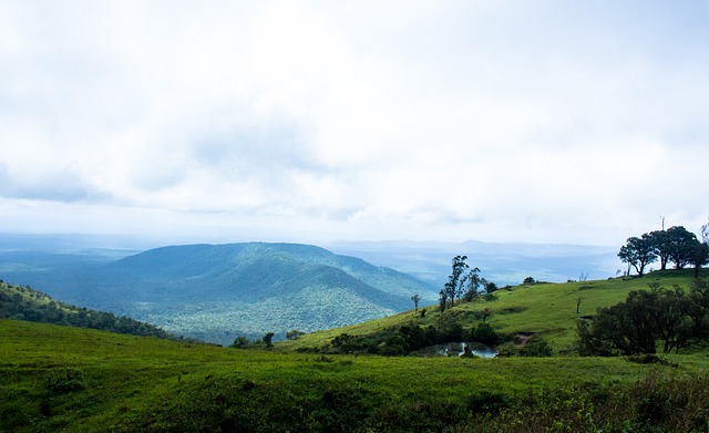 在红灯熄灭 在红灯熄灭