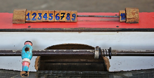 赛中的新生 赛中的新生