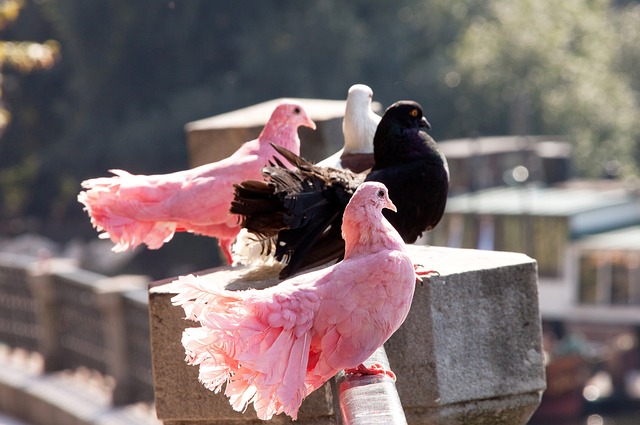 在赛道的直 在赛道的直