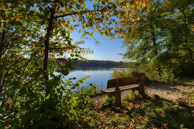 球转会窗口 球转会窗口